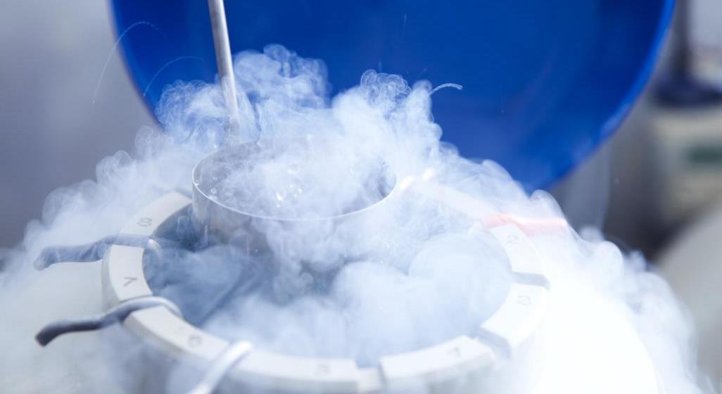 胚胎冷冻费用怎么算的,胚胎冷冻费是一次性吗