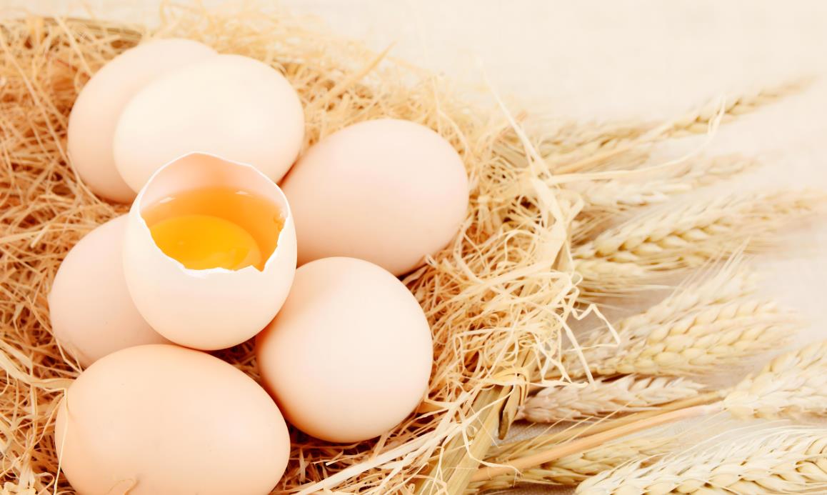 土鸡蛋和普通鸡蛋的区别,土鸡蛋和普通鸡蛋营养一样吗