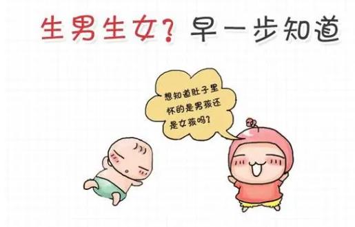 怎样算生男生女计算公式,科学生男生女计算公式