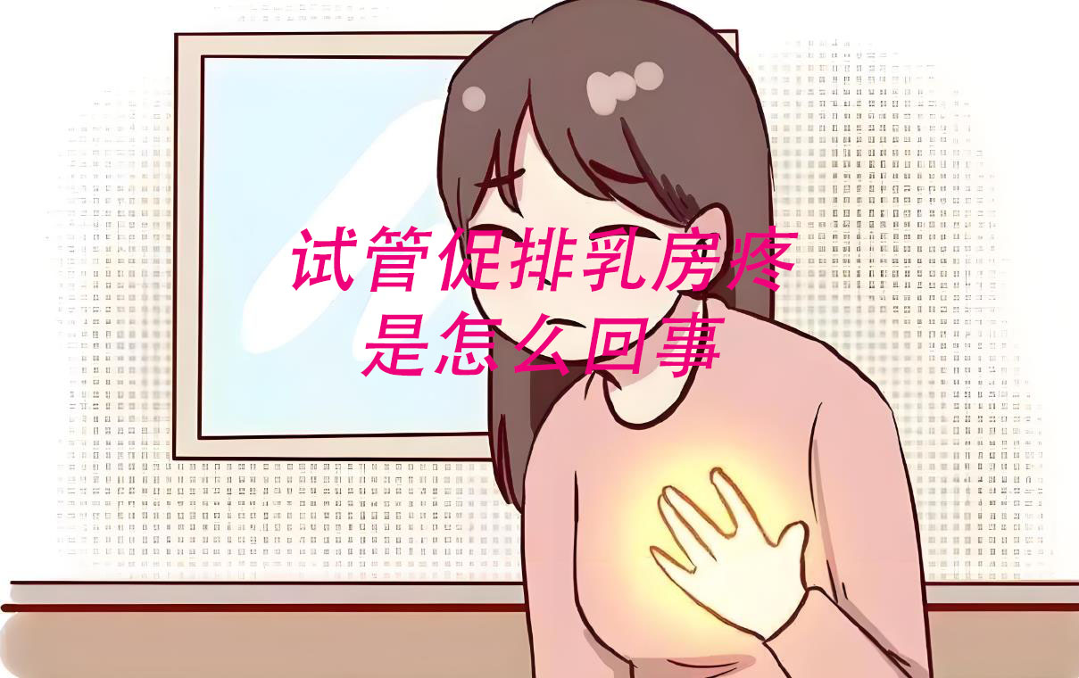 试管促排后乳房一摸就疼,试管促排期间乳头疼是怎么回事